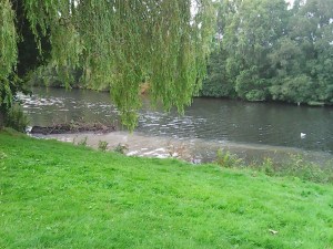 Avoca River - waste pouring directly into the river