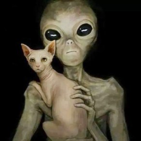alien_kitty